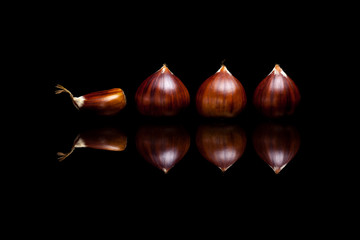 Four brown chestnuts isolated on black reflective background