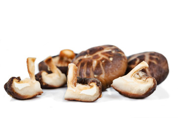 front focus Shiitake mushroom.