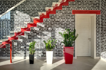 Interior in modern style