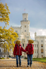 Obraz premium Two beautiful children, boy brothers, walking on a path in beaut