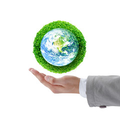 Save the earth by trees. Human hand holding global in soil with green tree for think earth concept. Elements of this image furnished by NASA.