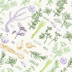 Seamless pattern with spices and herbs