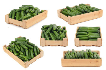 Gurken in einer Kiste