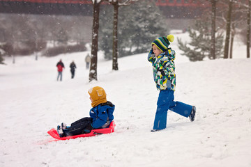 Two kids, boy brothers, sliding with bob in the snow, wintertime