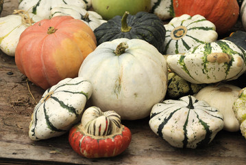 Pumpkin at Halloween market