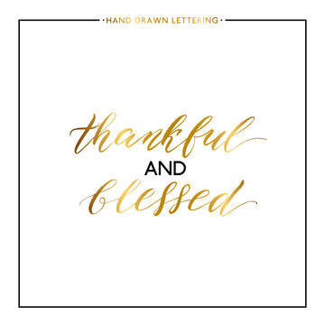 Thankful and blessed gold lettering isolated on white background, hand painted letter, golden vector thanksgiving text for greeting card, poster, banner, print, handwritten calligraphy