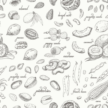 Seamless pattern with nuts on a white background