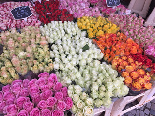 Colorful roses at marketplace