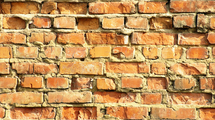 Obraz premium brick wall