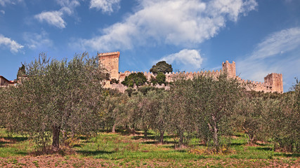Fototapeta na wymiar Castiglione del Lago, Perugia, Umbria, Italy: landscape with olive tree cultivation and medieval castle 
