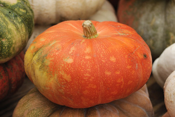 Pumpkin at Halloween market