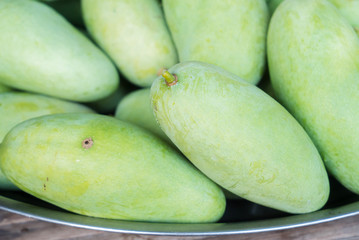 Mango harvest from tree