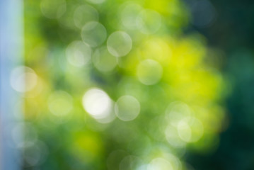 Natural green blurred background and sunlight bokeh