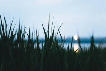 Zelfklevend Fotobehang beautiful view of green grass, lake and sunset © andriychuk