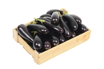 Eggplant or aubergine vegetable isolated on white background