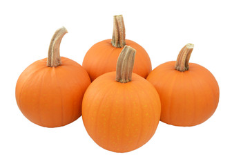 Four ripe orange pumpkins