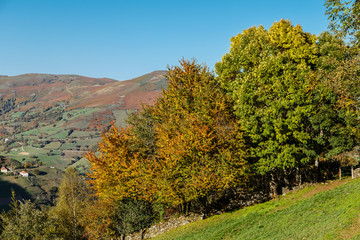 Autumn scenery in the mountains of Leitariegos, Asturias, Spain