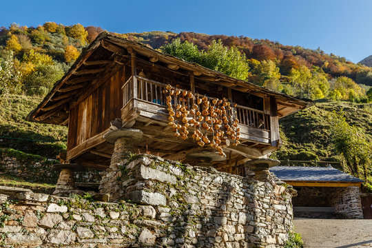 Old building called h&oacute;rreo in Riomolin, Asturias, with onions hanging from the wall