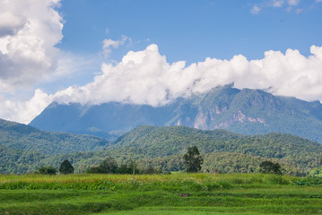 Rice Field Paddy Mountain Cloud