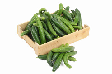 Gurken in einer Kiste