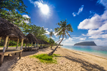 Fototapeta Tropical beach with a coconut palm trees and a beach fales, Samo obraz