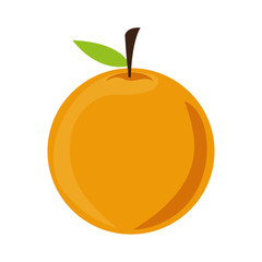 orange fruit icon. healthy food design. vector illustration