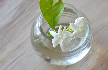 Obraz na płótnie Canvas white jasmine on water in glass bottle