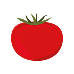 red tomato vegetable icon. healthy food design. vector illustration