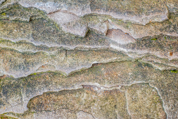 Layers of rock
