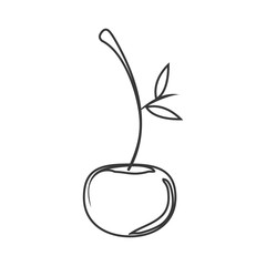 silhouette of cherry fruit icon. healthy food design. vector illustration
