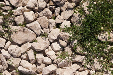 stones and grass