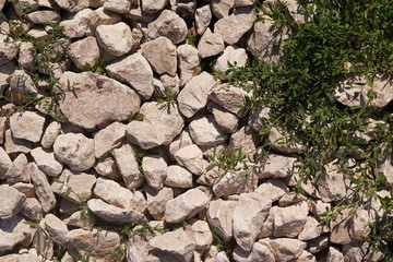stones and grass