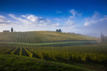 Fototapeta premium Italia,Toscana,Chianti, vigneti in autunno