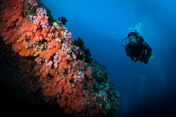 Woman diver approaches soft corals on the Lucky Hell dive site, Ari Atoll, Maldives