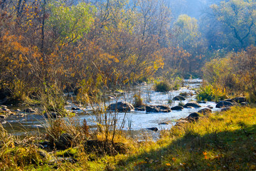 Fototapeta premium River in autumn forest