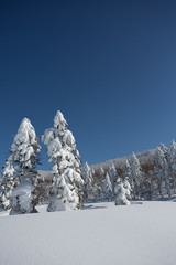 Soft rime