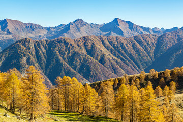 Valgerola - Valtellina (IT) - Vista panoramica autunnale dal Monte Rosetta