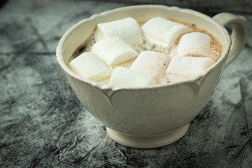 Fototapeta na wymiar A Cup of Hot Chocolate With Marshmallows