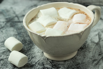Fototapeta na wymiar Hot Chocolate Marshmallows