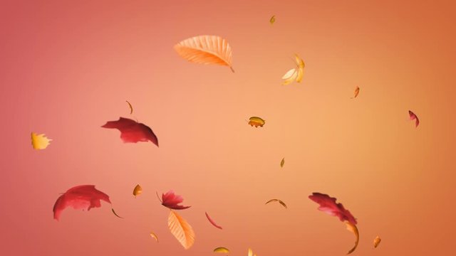 Autumn Leaves Seamless Loop