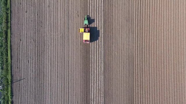Aerial view of a tractor in a field of potatoes.