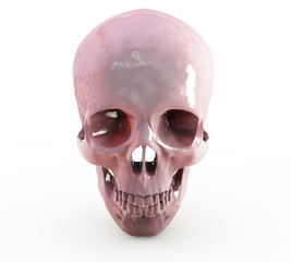 3d render of Human skull on white background with clipping path