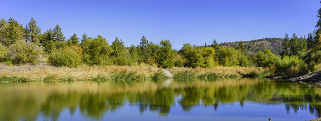 Fall color of Valyermo