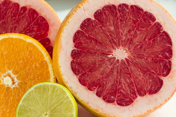 Citrus Closeup