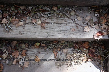 dry leaves fallen on the wooden steps