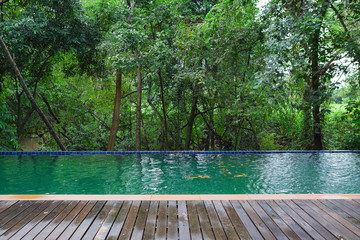 Swimming pool, green forests.