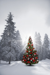 Christbaum in Verschneitem Wald