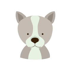 dog face animal cartoon icon over white background. colorful design. vector illustration