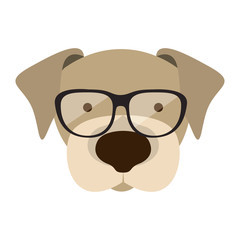 Naklejka premium dog cartoon with glasses. animal hipster lifestyle design. vector illustration