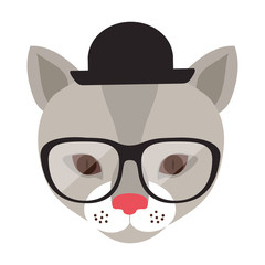 cat cartoon with glasses and hat. animal  hipster lifestyle design. vector illustration